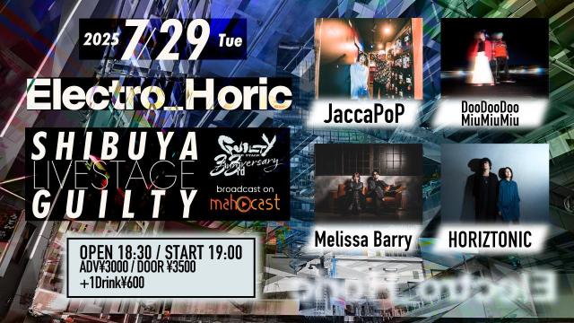 Electro_Holic